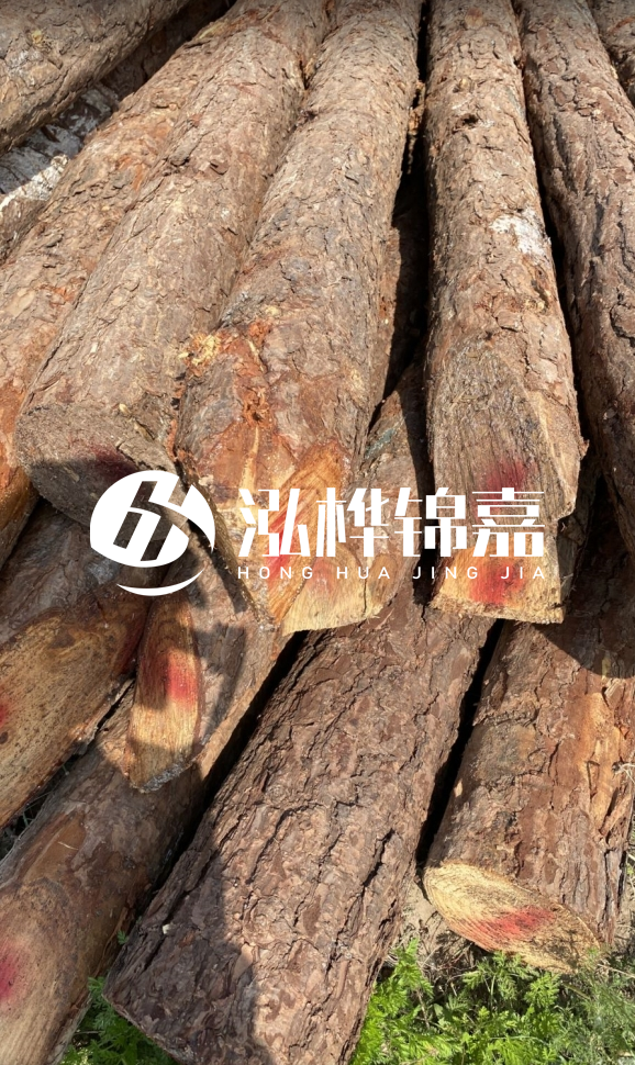 <strong>松木樁和杉木樁的用途區(qū)別？哪個(gè)更適合打樁用？</strong>