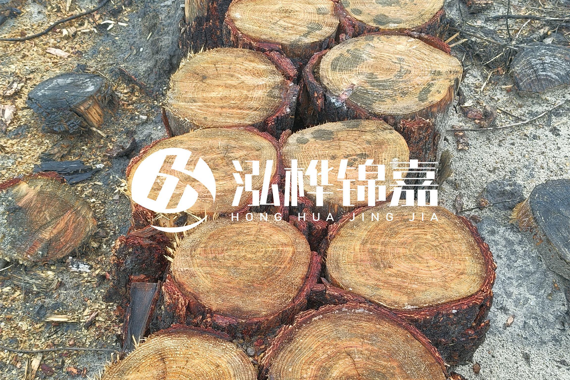 浙江臺州有清淤的公司嗎？浙江臺州有清淤施工隊嗎？