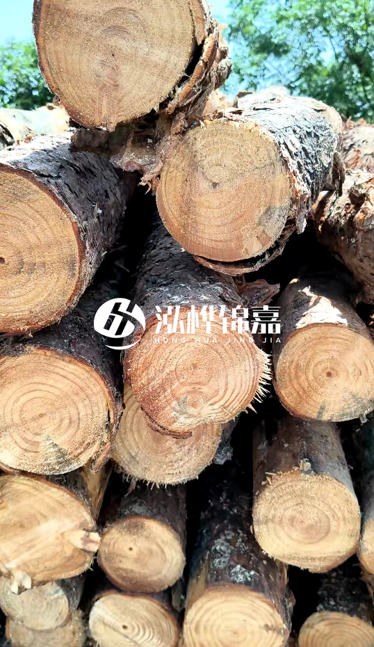 周口挖機(jī)打木樁專業(yè)施工-杉木樁施工打樁怎么打？