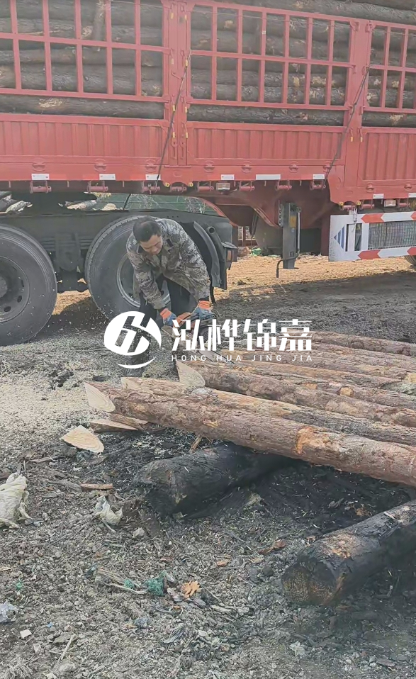 2米松木樁多少錢一根？15-20CM直徑價格是多少？