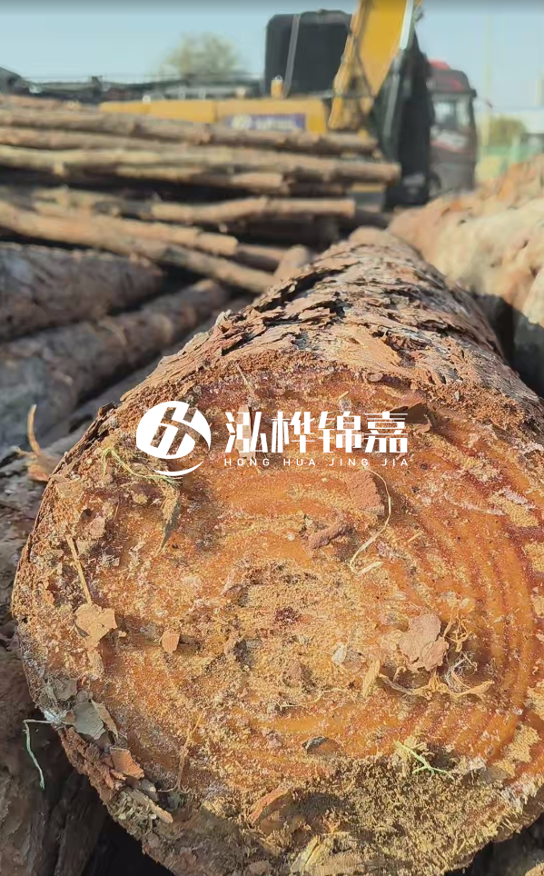 杉木樁價(jià)格多少錢一方-3米直徑14公分杉木樁價(jià)格？