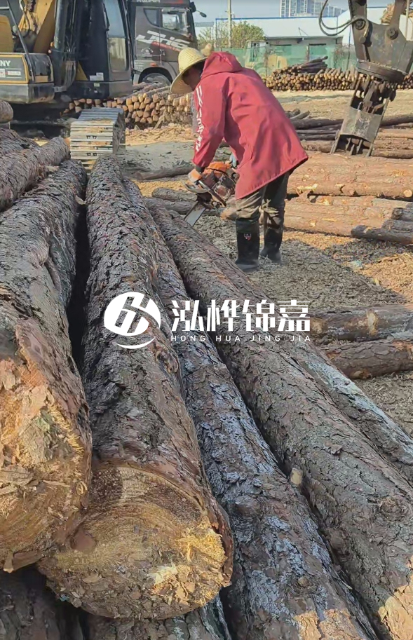 長沙打樁木批發(fā)廠家在哪里？聯(lián)系方式是什么？