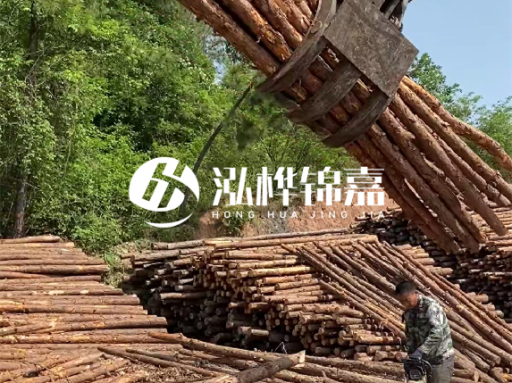哪里能買到優(yōu)質(zhì) 3 米松木樁？長(zhǎng)沙有松木樁批發(fā)工廠嗎？