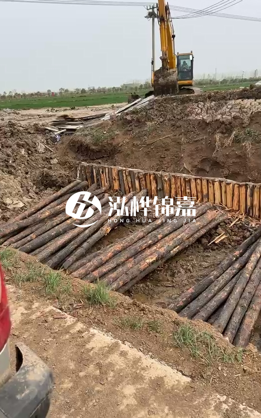 4米直徑12-13油松批發(fā)價最低多少？報價含稅含運嗎？