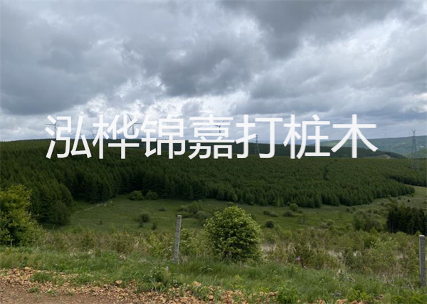 松木樁能重復(fù)施工么？