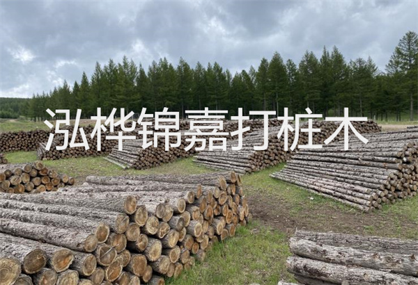 預(yù)制松木樁施工工藝：優(yōu)質(zhì)材料，高效快速，堅(jiān)固耐用