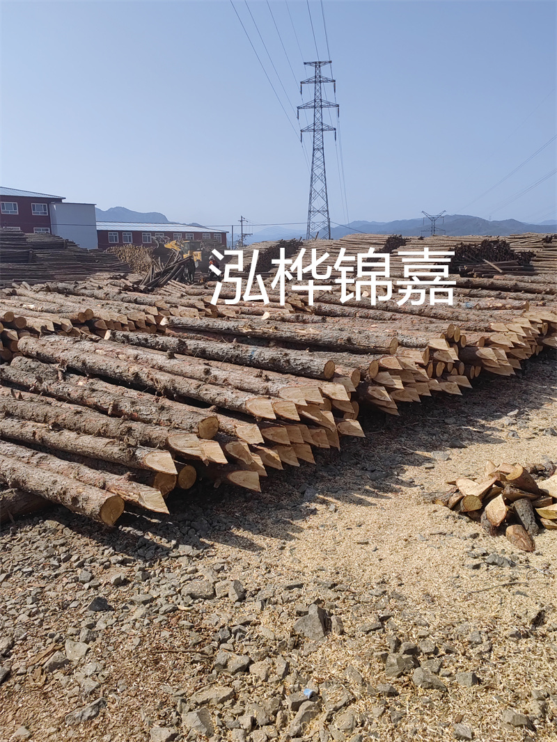 深入了解松木樁基礎(chǔ)施工單價(jià)，助力工程建設(shè)順利進(jìn)行！