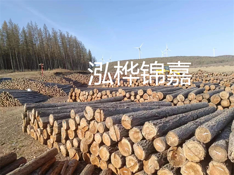 用路基松木樁施工方案提升工程質(zhì)量描述：了解路基松木樁施工方案的重要性，提高工程質(zhì)量關(guān)鍵詞：路基松木樁，施工方案，工程質(zhì)量