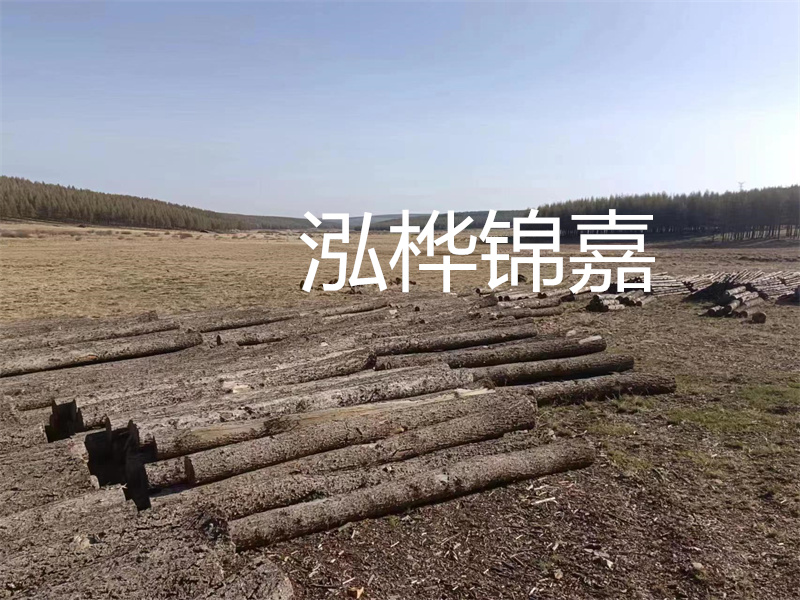 鄂州松木樁哪里好？推薦泓樺錦嘉松木樁業(yè)！