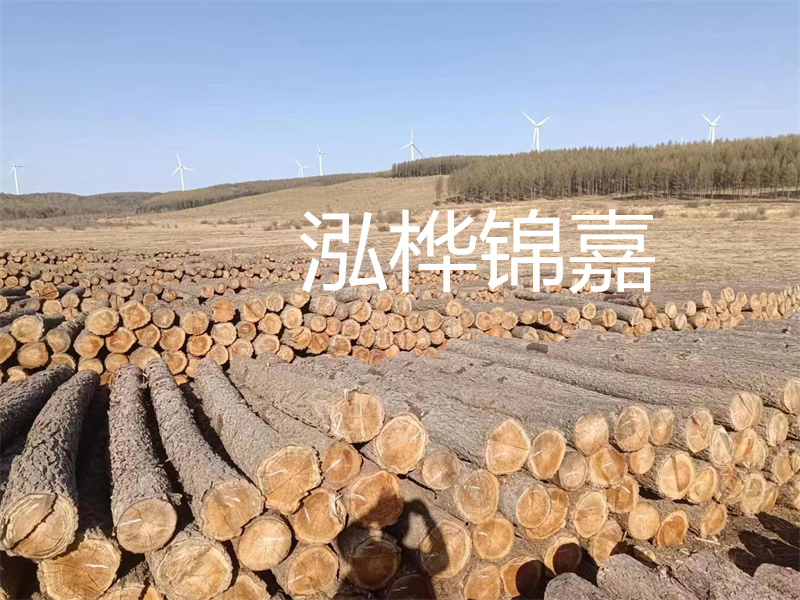 濟(jì)南哪里賣松木木樁？